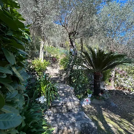 Casa Mikelina By Portofinovacanze Apartment